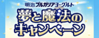 夢と魔法のキャンペーン