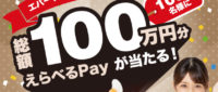 エバークックキャンペーン総額100万円分選べるPayが1000名様に当たる！