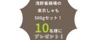 とうきょうの恵みTOKYO GROWN 東京からの贈り物 浅野養鶏場の 東京しゃも 500gセット！